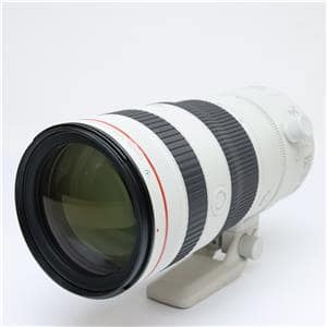 RF70-200mm F2.8 L IS USM Z ホワイト