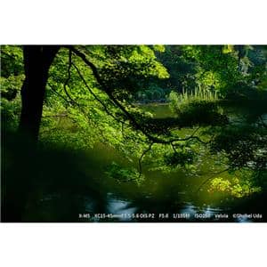 FUJIFILM (フジフイルム) X-M5 XC15-45mmレンズキット シルバー