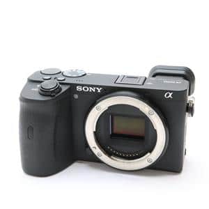 SONY (ソニー) α6600 ボディ ILCE-6600」の商品検索結果