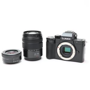 Panasonic (パナソニック) LUMIX DC-G100DW ダブルズームレンズキット