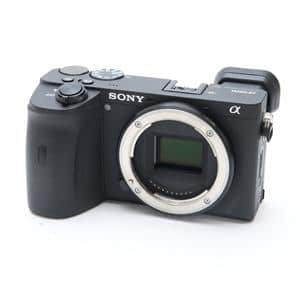SONY (ソニー) α6600 ボディ ILCE-6600 メイン