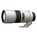 Nikon (ニコン) Ai AF-S Nikkor 300mm F4D IF-ED ライトグレー