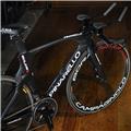 PINARELLO (ピナレロ) 2020モデル BOLIDE TT DURA-ACE R9160 Di2 11S 520サイズ（180-187cm）タイムトライアルバイク