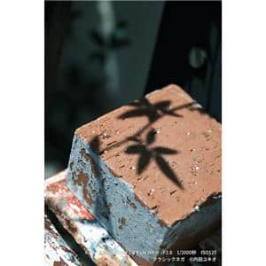 FUJIFILM (フジフイルム) フジノン XF16-55mm F2.8 R LM WR II