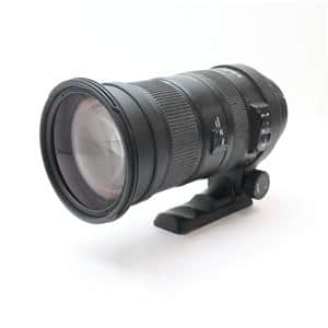 SIGMA APO 50-500mm F4.5-6.3 DG OS HSM」の商品検索結果