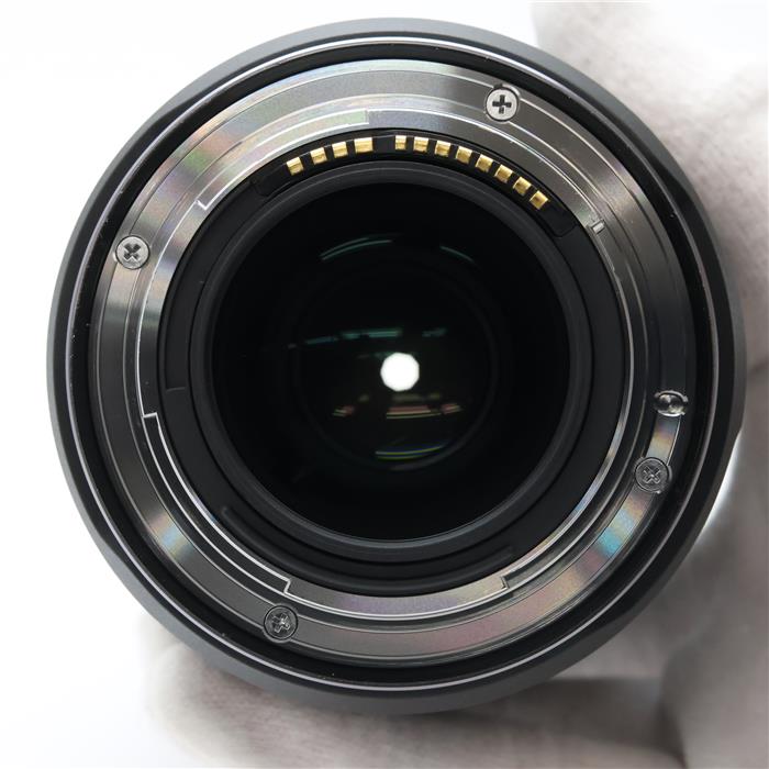 RF100mm F2.8 L MACRO IS USM