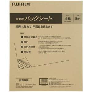 FUJICOLOR (フジカラー) 額装用バックシート 全紙 5枚入 メイン