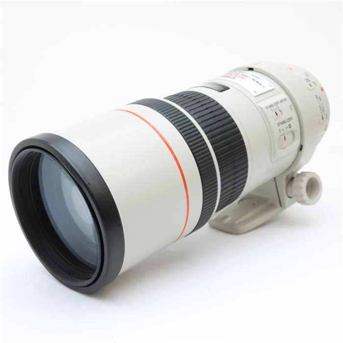 EF300mm F4L IS USM