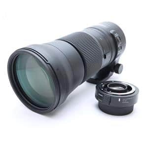 sigma (シグマ) s 150-600mm f5-6.3 dg os (ニコン用)」の商品 sigma (シグマ) s 150-600mm f5-6.3 dg os (ニコン用)」の商品