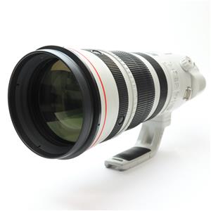 Canon (キヤノン) EF200-400mm F4L IS USM エクステンダー 1.4」の商品