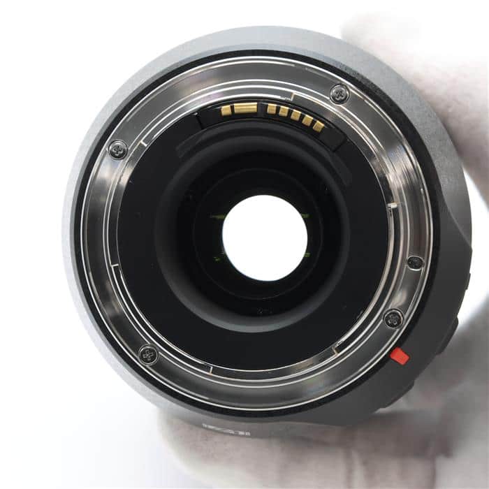 SP 70-300mm F4-5.6 Di VC USD/Model A005E(キヤノンEF用)