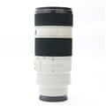 SONY (ソニー) FE 70-200mm F4 G OSS SEL70200G