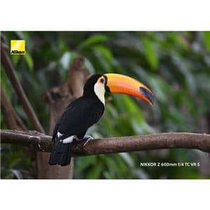 Nikon (ニコン) NIKKOR Z 600mm F4 TC VR S