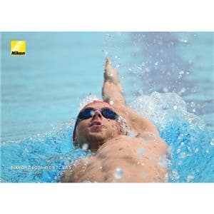 Nikon (ニコン) NIKKOR Z 600mm F4 TC VR S