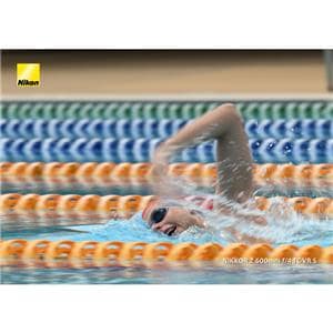 Nikon (ニコン) NIKKOR Z 600mm F4 TC VR S