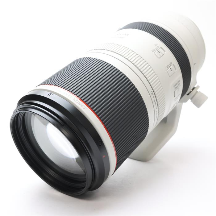 RF100-500mm F4.5-7.1 L IS USM