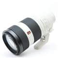 FE 100-400mm F4.5-5.6 GM OSS SEL100400GM