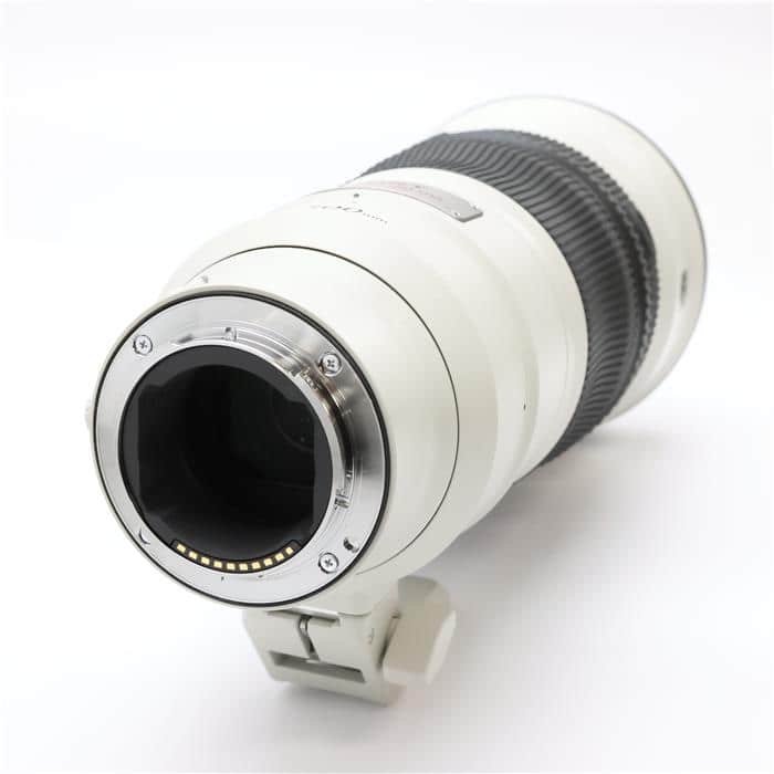 FE 300mm F2.8 GM OSS SEL300F28GM