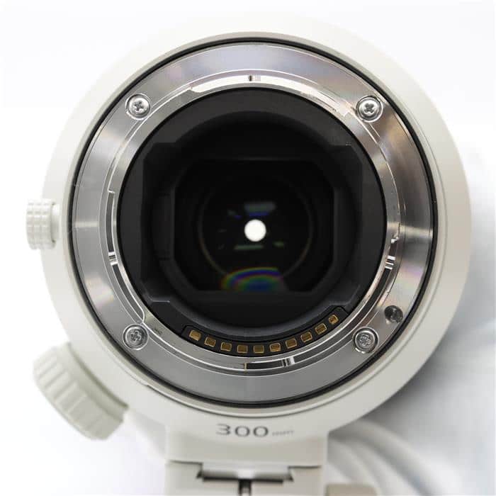 FE 300mm F2.8 GM OSS SEL300F28GM