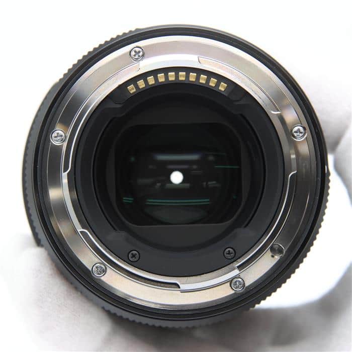 Art 105mm F2.8 DG DN MACRO (ライカSL/TL用)