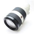 FE 100-400mm F4.5-5.6 GM OSS SEL100400GM