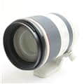 RF70-200mm F2.8L IS USM