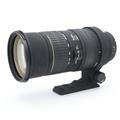 SIGMA (シグマ) 50-500mm F4-6.3 APO EX RF HSM (キヤノンEF用)