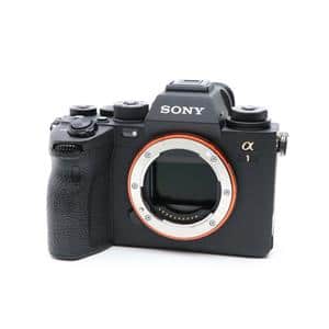 【ショット4738回】SONY α1 / ILCE-1 【美品】 SONY α1 / ILCE-1 かなりの美品です！ ショット4738回】SONY α1 / ILCE