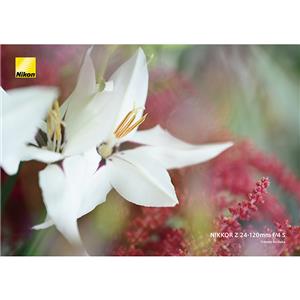 Nikon (ニコン) NIKKOR Z 24-120mm F4 S