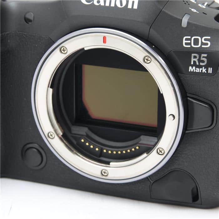EOS R5 Mark II ボディ