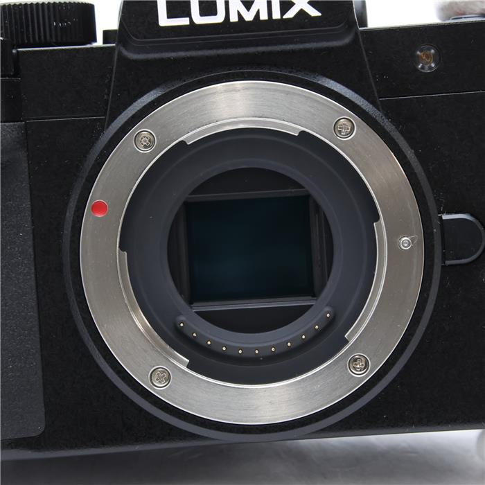 LUMIX DC-G100D ボディ