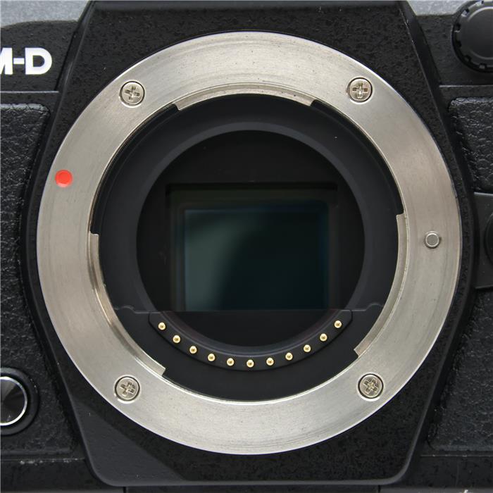 OM-D E-M5 Mark II ボディ