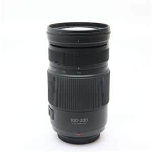 Amazon.com : Panasonic LUMIX G VARIO 100-300mm F4.0-5.6 MEGA