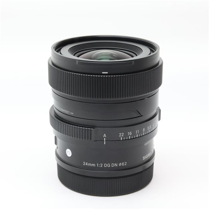 Contemporary 24mm F2 DG DN (ライカSL/TL用)