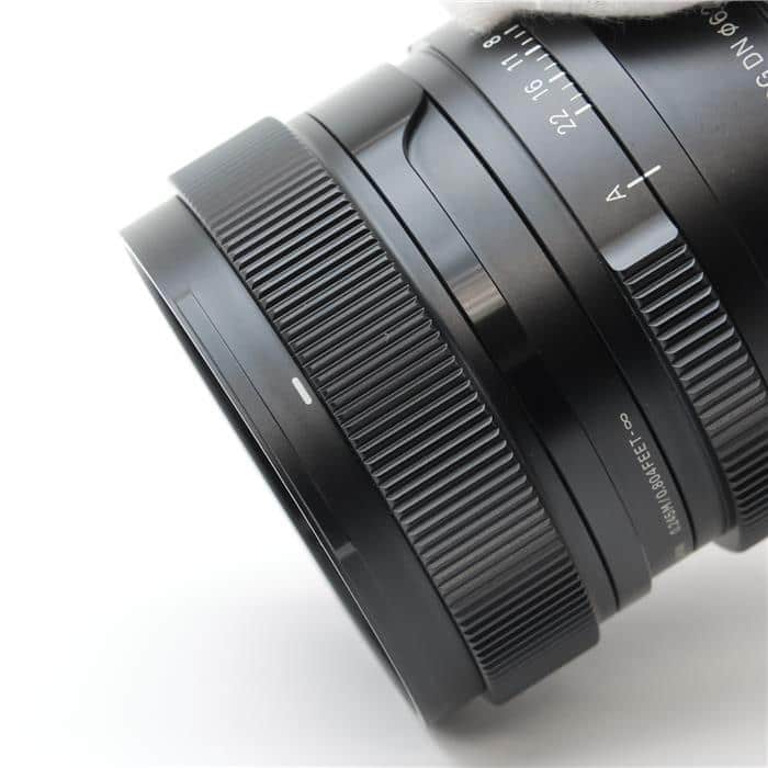 Contemporary 24mm F2 DG DN (ライカSL/TL用)