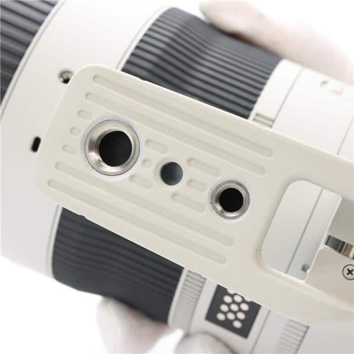 RF70-200mm F2.8 L IS USM Z