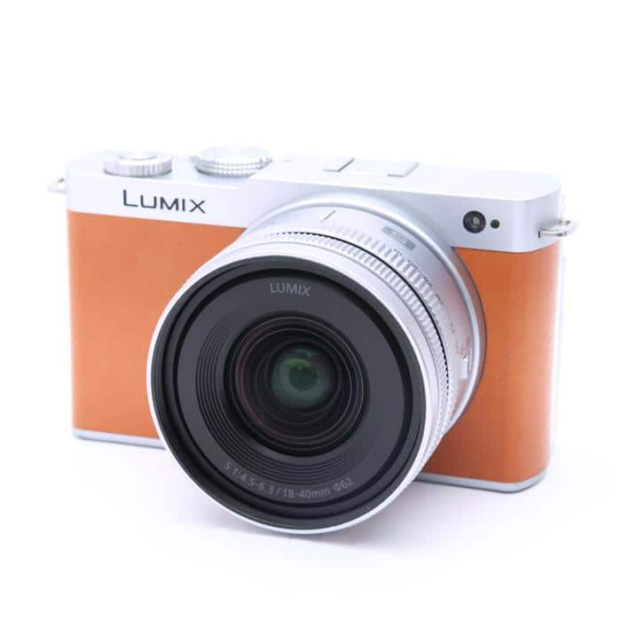 LUMIX S9 広角ズームレンズキット DC-S9N-D