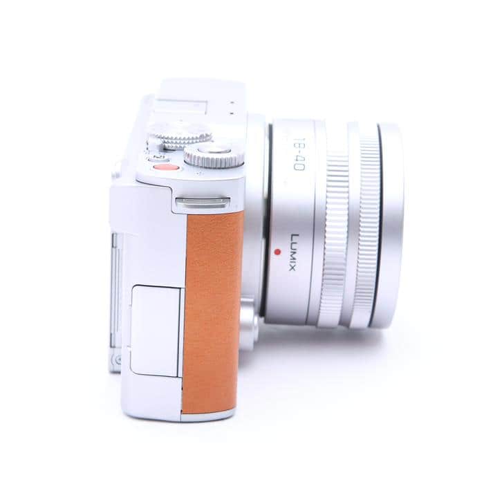 LUMIX S9 広角ズームレンズキット DC-S9N-D