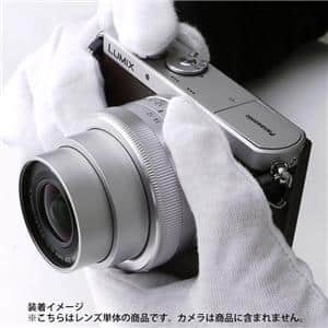 Panasonic (パナソニック) LUMIX G VARIO12-32mm F3.5-5.6 ASPH. MEGA O.I.S. H-FS12032 シルバー