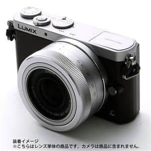 Panasonic (パナソニック) LUMIX G VARIO12-32mm F3.5-5.6 ASPH. MEGA O.I.S. H-FS12032 シルバー