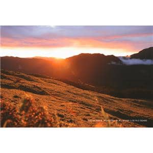 Canon (キヤノン) EOS R6 Mark III ボディ