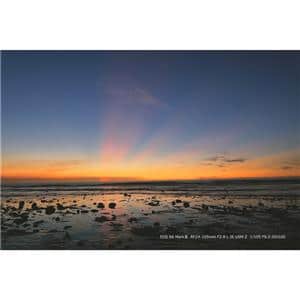 Canon (キヤノン) EOS R6 Mark III ボディ