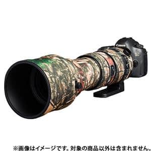 お写ん歩: SIGMA 150-600mm F5-6.3 DG OS HSM Sportsアーカイブ