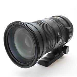 SIGMA APO 50-500mm F4.5-6.3 DG OS HSM」の商品検索結果 | デジタル