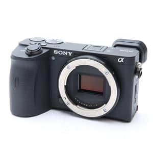 SONY (ソニー) α6600 ボディ ILCE-6600 メイン