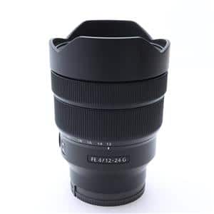 SONY (ソニー) FE 12-24mm F4 G SEL1224G」の商品検索結果 SONY (ソニー) FE 12-24mm F4 G SEL1224G」の商品検索結果