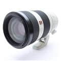 FE 100-400mm F4.5-5.6 GM OSS SEL100400GM