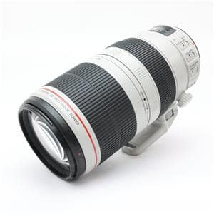 Canon (キヤノン) EF100-400mm F4.5-5.6L IS II USM メイン