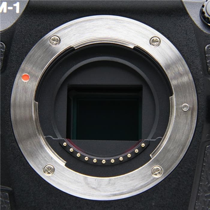 OM-1 Mark II ボディ