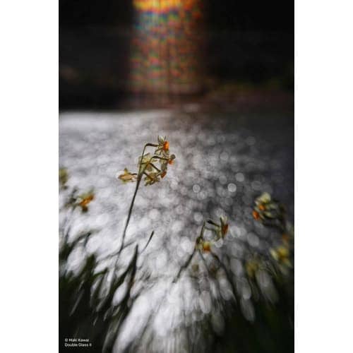 新品)Lensbaby (レンズベビー) コンポーザープロ II ダブル 新品)Lensbaby (レンズベビー) コンポーザープロ II ダブル